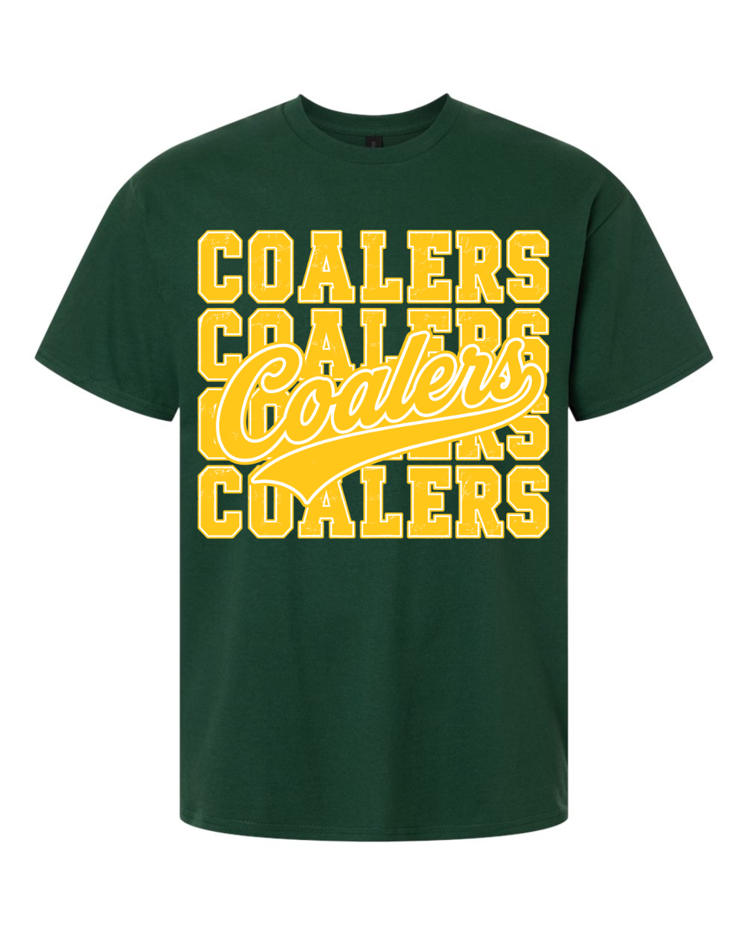 Coal City Coalers T-Shirt (Gildan) Youth